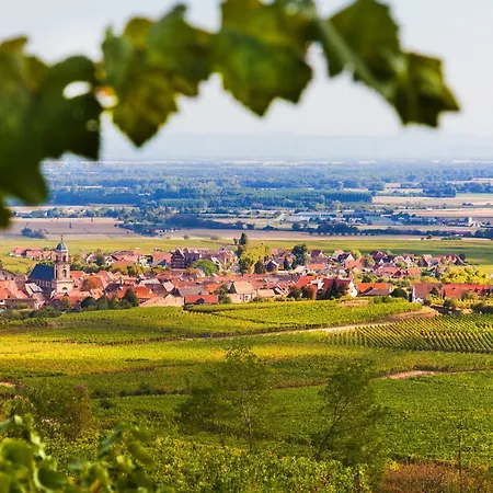 D'hotes Francois Bleger Bed & Breakfast Saint-Hippolyte (Haut-Rhin)
